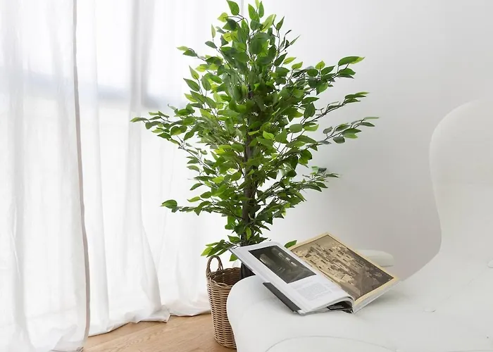 Luxury Center - Glenda Apartman Trieszt